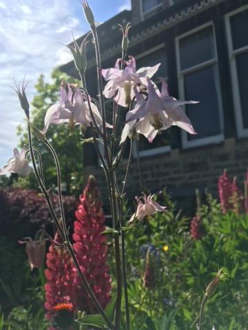 Brooklynn Guest House Grantown-on-Spey Luaran gambar